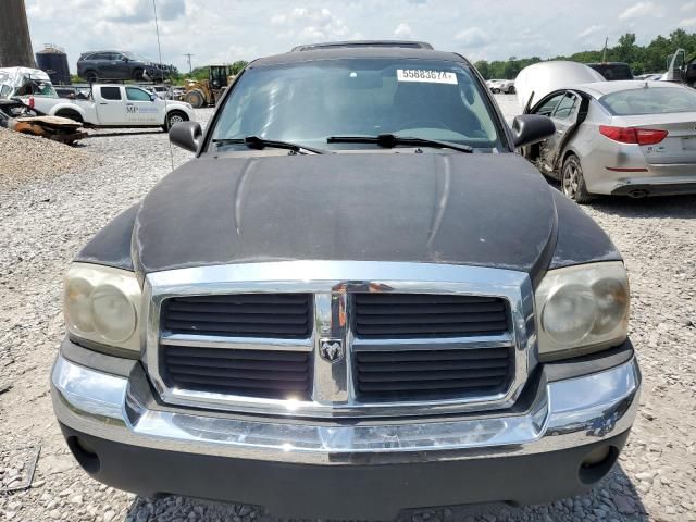 2005 Dodge Dakota SLT