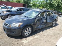 Salvage cars for sale at Baltimore, MD auction: 2008 Honda Accord EXL