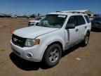 2008 Ford Escape XLT