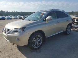 Salvage cars for sale from Copart Harleyville, SC: 2013 Lexus RX 350