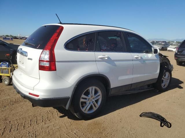 2010 Honda CR-V EXL