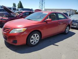 2010 Toyota Camry Base for sale in Hayward, CA