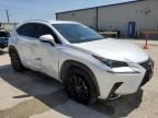 2020 Lexus NX 300H