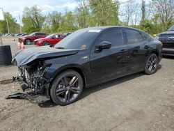 Salvage cars for sale at Marlboro, NY auction: 2024 Acura Integra A-SPEC Tech