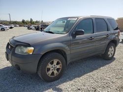 Ford Escape xlt Vehiculos salvage en venta: 2006 Ford Escape XLT