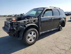 Salvage cars for sale at Martinez, CA auction: 2012 Ford Escape XLT