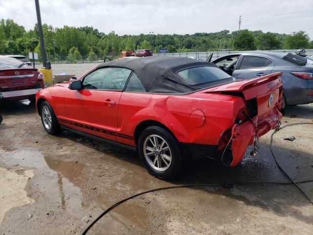 2005 Ford Mustang