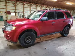 Ford Vehiculos salvage en venta: 2012 Ford Escape XLT