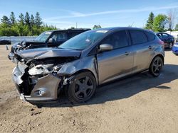 Ford Focus Vehiculos salvage en venta: 2012 Ford Focus SE