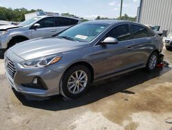 Salvage cars for sale at Apopka, FL auction: 2019 Hyundai Sonata SE