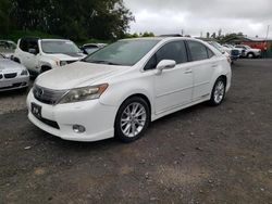 Lexus salvage cars for sale: 2010 Lexus HS 250H