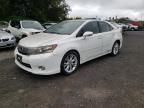 2010 Lexus HS 250H