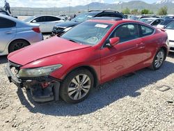 Honda Accord salvage cars for sale: 2008 Honda Accord EXL