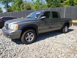 Vehiculos salvage en venta de Copart Waldorf, MD: 2007 Dodge Dakota Quad SLT