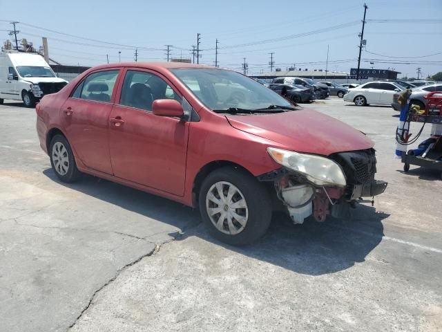 2010 Toyota Corolla Base