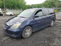 Salvage cars for sale at Finksburg, MD auction: 2005 Honda Odyssey EX