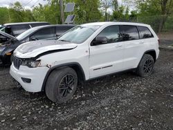 Salvage vehicles for parts for sale at auction: 2019 Jeep Grand Cherokee Trailhawk
