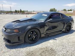 Salvage cars for sale at Mentone, CA auction: 2001 Ford Mustang Cobra SVT