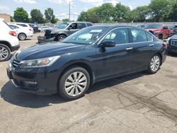 Salvage cars for sale at Moraine, OH auction: 2014 Honda Accord EXL
