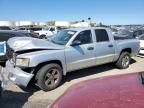 2008 Dodge Dakota Quad SLT