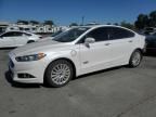 2014 Ford Fusion Titanium Phev