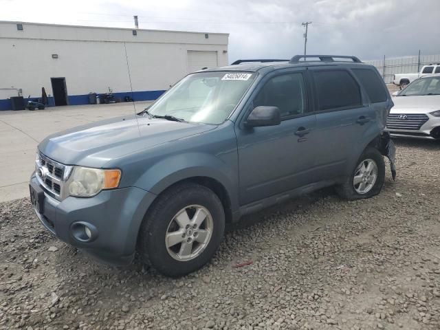 2010 Ford Escape XLT