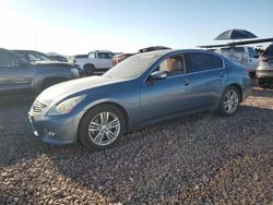 Salvage cars for sale at Phoenix, AZ auction: 2010 Infiniti G37 Base
