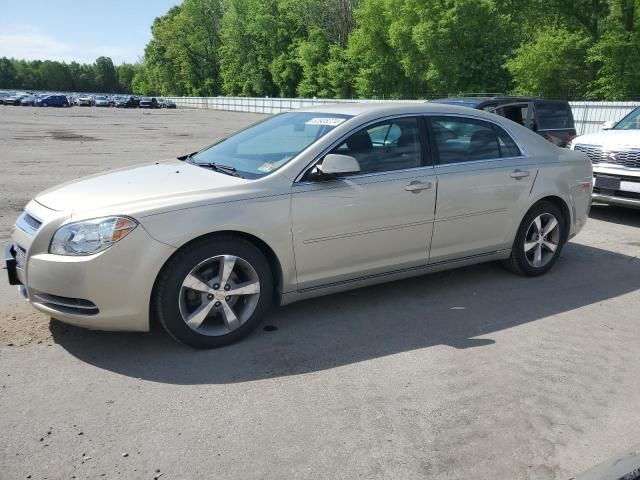 2011 Chevrolet Malibu 1LT