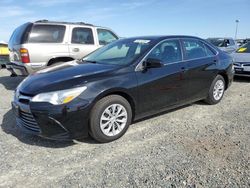 Salvage cars for sale from Copart Antelope, CA: 2016 Toyota Camry LE