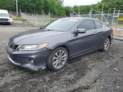 Salvage cars for sale at Finksburg, MD auction: 2015 Honda Accord EXL