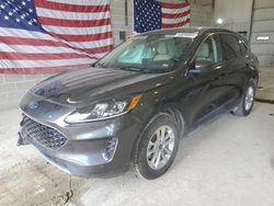 Salvage cars for sale at Columbia, MO auction: 2020 Ford Escape SE