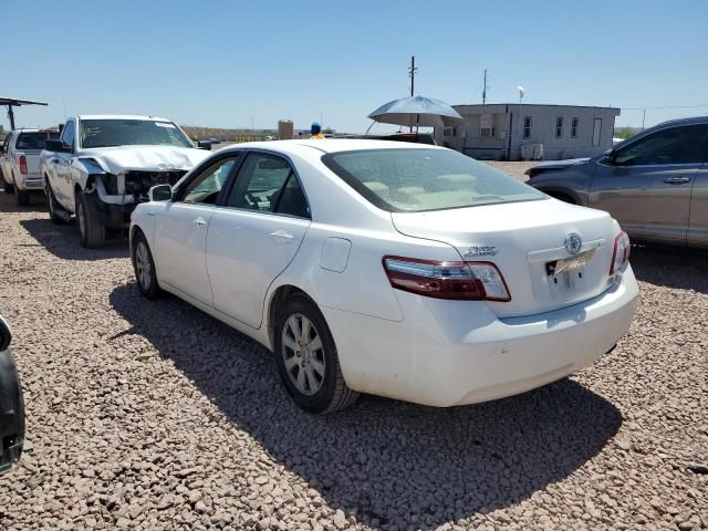 2007 Toyota Camry Hybrid