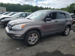 Honda cr-v ex salvage cars for sale: 2010 Honda CR-V EX