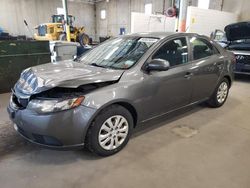 Salvage cars for sale from Copart Blaine, MN: 2013 KIA Forte EX
