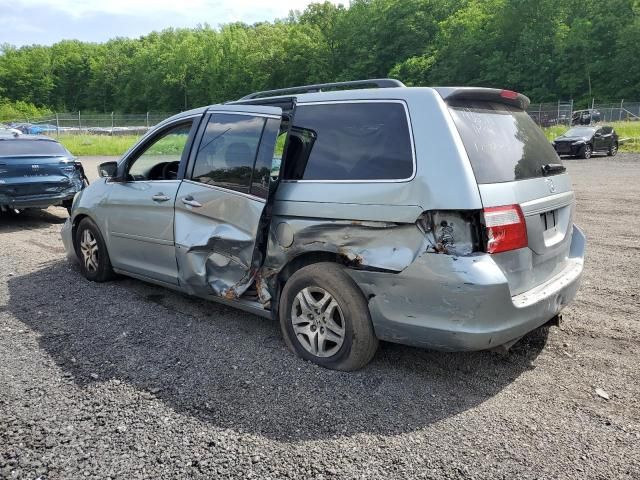 2005 Honda Odyssey EXL