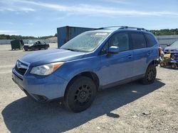 Salvage cars for sale at Anderson, CA auction: 2016 Subaru Forester 2.5I Premium