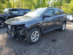 Salvage cars for sale at Bowmanville, ON auction: 2023 Hyundai Tucson SEL