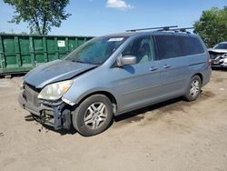 Salvage cars for sale at Baltimore, MD auction: 2006 Honda Odyssey EXL