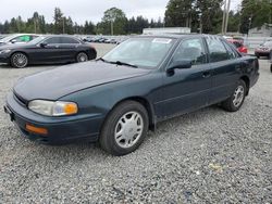 Toyota salvage cars for sale: 1995 Toyota Camry XLE