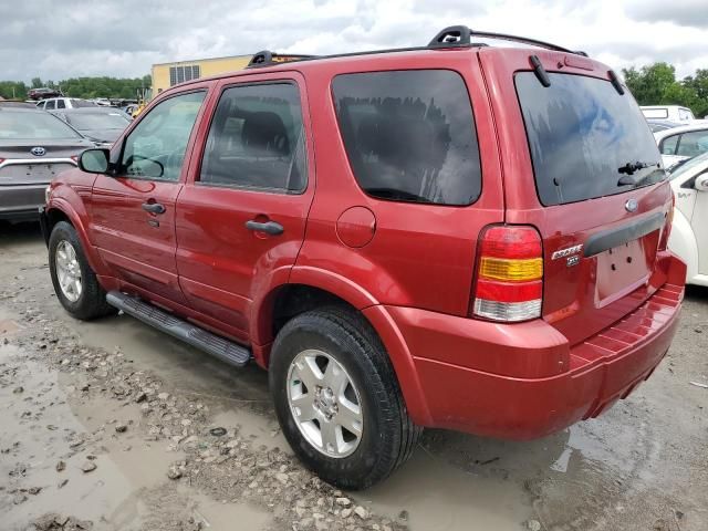 2007 Ford Escape XLT