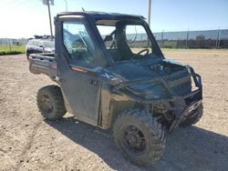 Salvage motorcycles for sale at Rapid City, SD auction: 2024 Polaris Ranger XP 1000 Northstar Premium