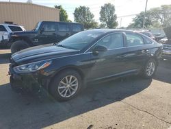 Salvage cars for sale at Moraine, OH auction: 2019 Hyundai Sonata SE