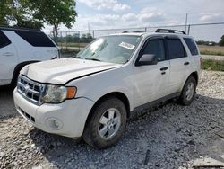 Salvage cars for sale at Cicero, IN auction: 2010 Ford Escape XLT