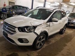 2017 Ford Escape SE en venta en Ham Lake, MN