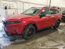 Salvage SUVs for sale at auction: 2023 Honda CR-V Sport