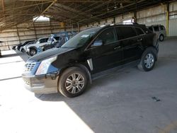 Salvage cars for sale at Phoenix, AZ auction: 2013 Cadillac SRX Luxury Collection