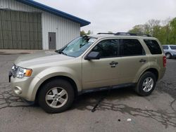 Salvage cars for sale at East Granby, CT auction: 2012 Ford Escape XLT