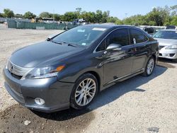 Salvage cars for sale at Riverview, FL auction: 2010 Lexus HS 250H