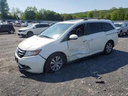Vehiculos salvage en venta de Copart Grantville, PA: 2014 Honda Odyssey EXL