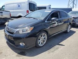 Salvage cars for sale from Copart Hayward, CA: 2010 Lexus HS 250H